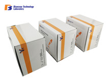 Customized Guinea Pig IL 2 ELISA Kit Tissue Homogenates Use CE / ISO Approved