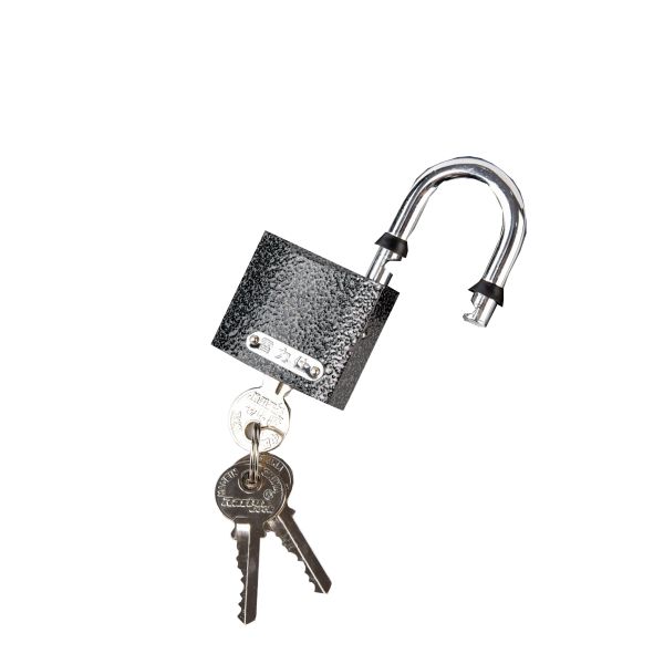 Rarlux 50mm Lock High Quality Safety Sample Available Padlocks Waterproof Iron Padlock