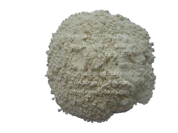 Dehydrated White Onion Powder