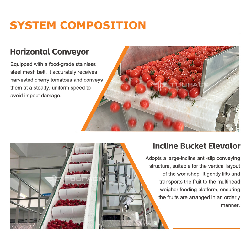 Linear Weigher Automatic Cherry Tomato Fruit Vegetable Tray Sealing Packaging Line With High Precision Weighing System