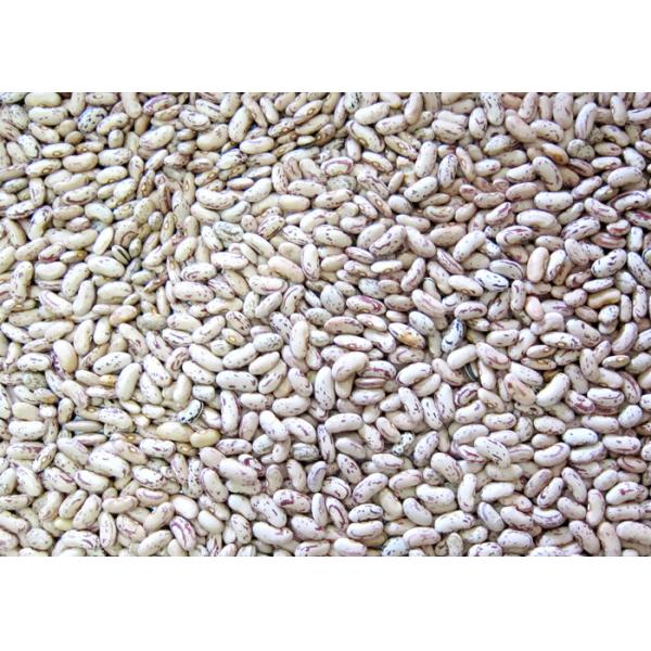 Maximum Capacity Beans Color Sorter Grains Processing machine