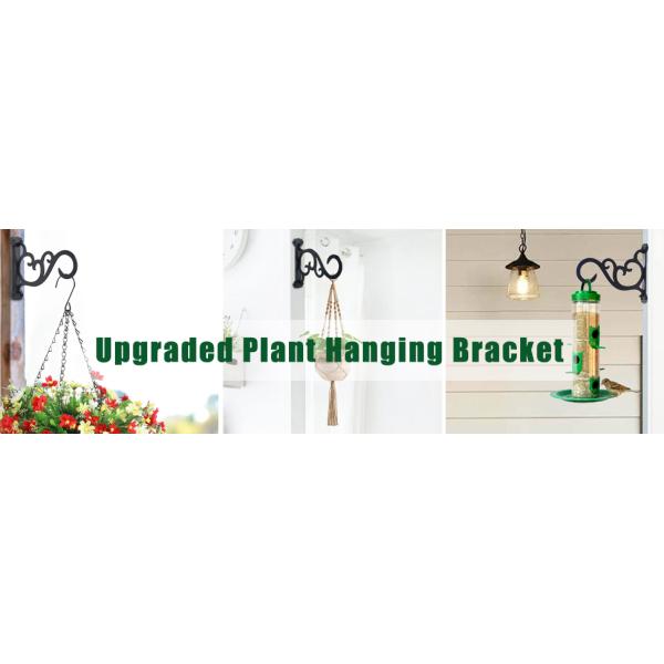 Outdoor and Indoor Metal Wall Mount Hanging Plant Bracket for Decorative Arrangements
