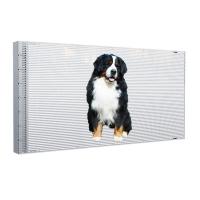 Espectacular pantalla LED interior holográfica transparente Ultra-Light 6kg/m2 módulo