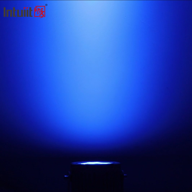На открытом воздухе Ip65 Dmx 60w Rgbw привело света пятна ландшафта для сада