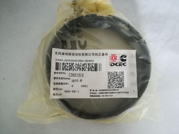 Wear Resistance Diesel Engine Piston Rings 3922686 Precise Design Anti - Galling