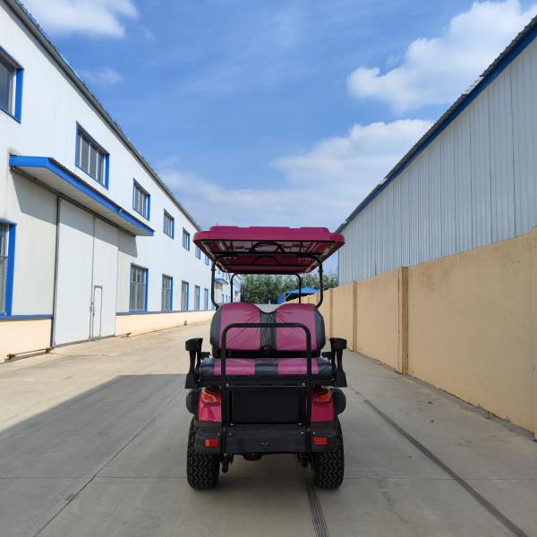 6 plazas de carrito de golf eléctrico rosa con batería de plomo