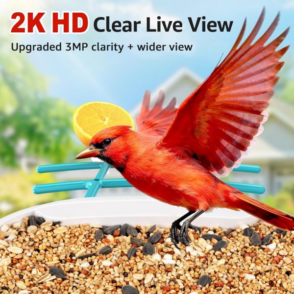 Visible Bird Feeder Featuring Consumption and Built In 4000mA Battery with Type C Interface and Two Way Audio Support