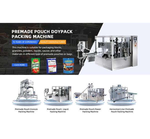 WG300 Flour Doypack Premade Pouch Packing Machine For Baked Food Processing Plants SUS304