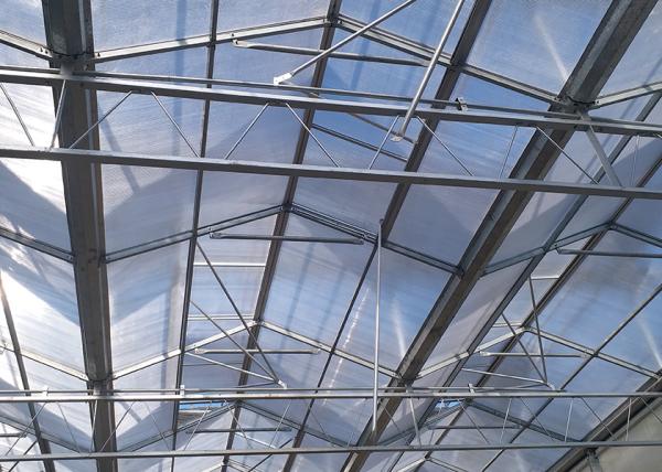 Energy Efficient Multi Functional PC Greenhouse With Seeding Bench - Suitable For Ornamental Plants In Any Climate