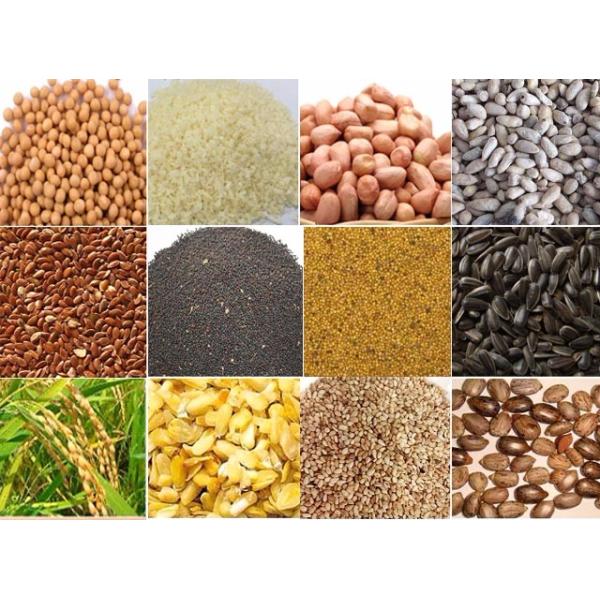 Home Household Stainless Steel Castor Oil Processing Equipment Cold Pressed Argan Marula Chia Seed Apricot Oil Press Machine 220V/50HZ
