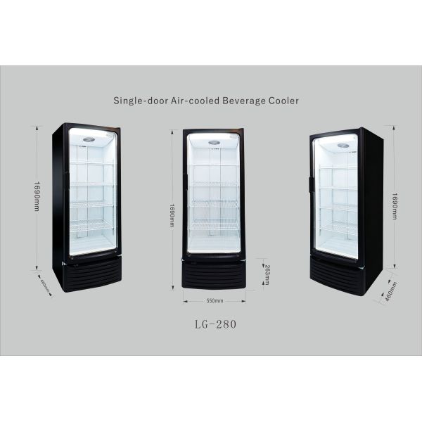 255L Volume Commercial Display Cooler with Fan Cooling and Auto Defrost for Beverage Storage