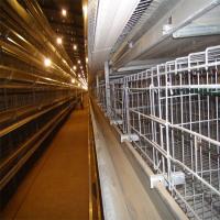 Cage galvanisée froide de poulet de batterie de longue durée de vie pour la cage de poulet