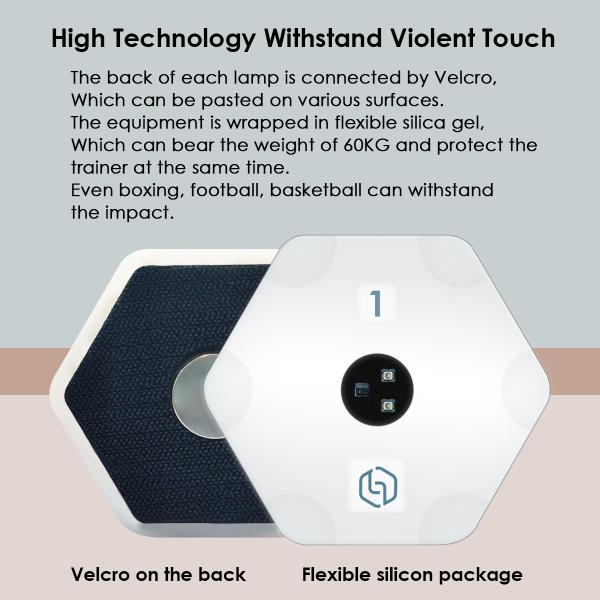 Luzes impermeáveis da velocidade e da agilidade do controle do APP para treinadores de esportes