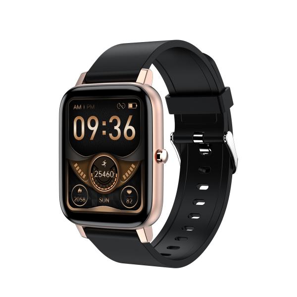 RealTek 8762C 1.69 Inch oximeter Smart Watch Heart Rate Blood Pressure