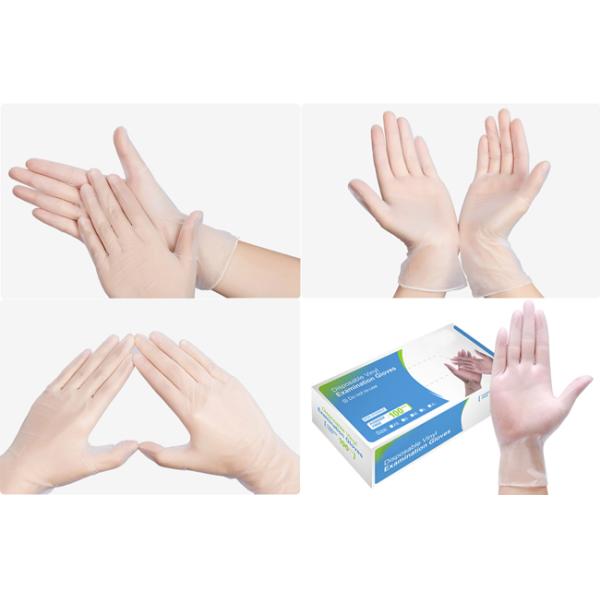 Powder Free Clear PVC Disposable Examination Gloves Latex Free