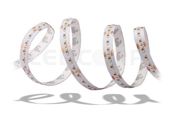 New 2110 SMD 240LED Flexible LED Strips Manufacturer Low power Single color Ultra Bright