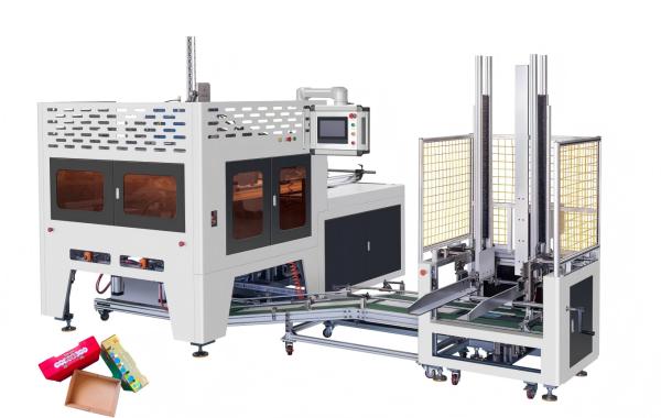 Fully Automatic Carton Processing Machine Fruit/Vegetable Packaging Boxes And Other Product Boxes