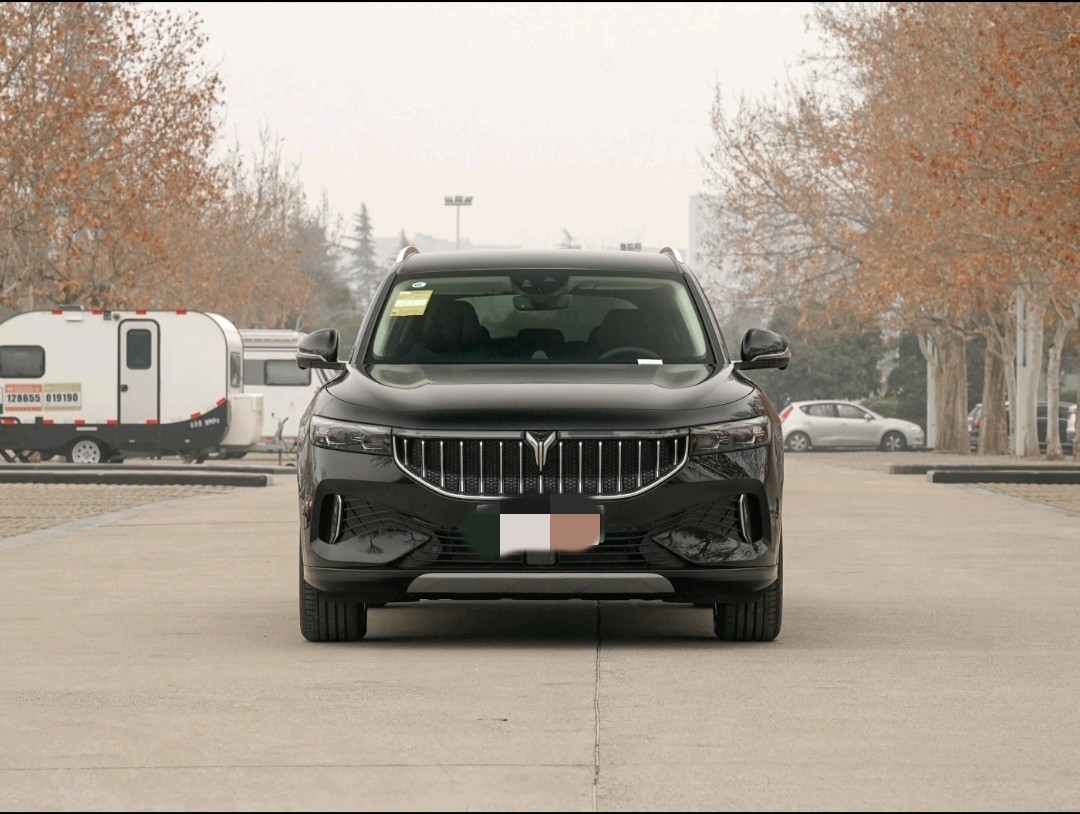 Камера ряда 360 VOYAH свободная средняя большая EV SUV NEDC 505km