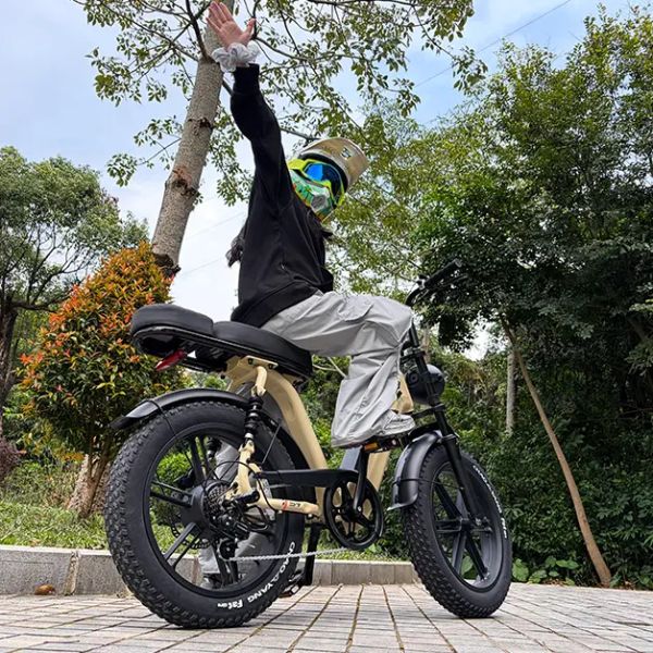 R7 Womens Fat Tire E-Bike 20 Inch | Fashion Ladies Electric Bike for City & Outdoor Use