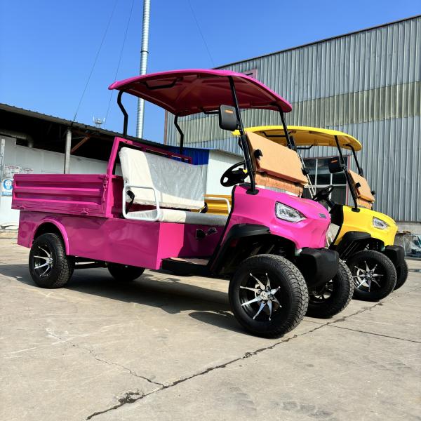 Pointed Two-Seater Electric Cargo Truck Large Capacity Customized Color And LOGO