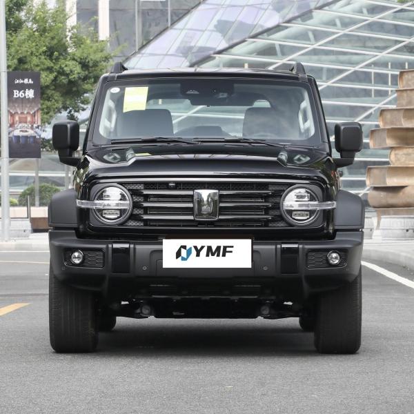 Electric Steering System Tank 300 Jeep SUV for Full Size SUV 2023 Great Wall Compact