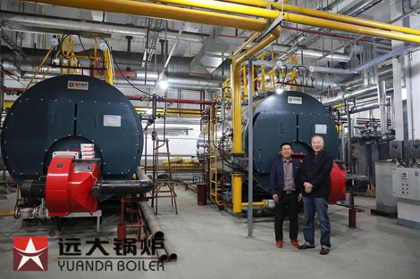 2000Kg/H High Efficiency Gas Boiler Horizontal Style Customized Color
