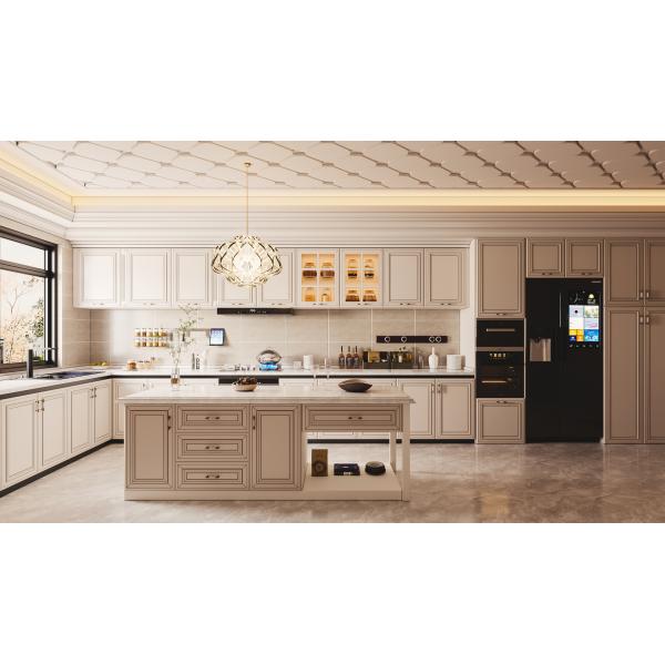 Modern Kitchen Cabinet with Granite Countertop Custom Design