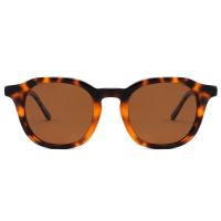 Tartaruga polarizada redonda Sunglass de Sun das máscaras dos óculos de sol do quadro do acetato