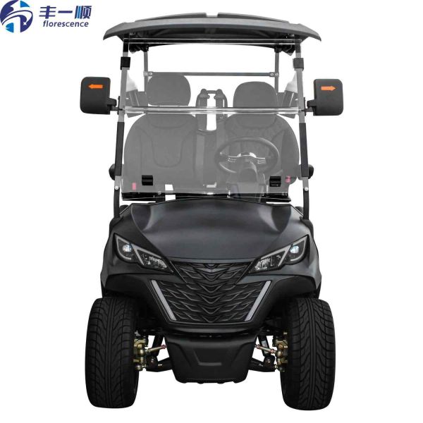 Hot Sell Low Speed New Energy 2 Seater Golf Cart with 48V 150Ah Lithium Battery