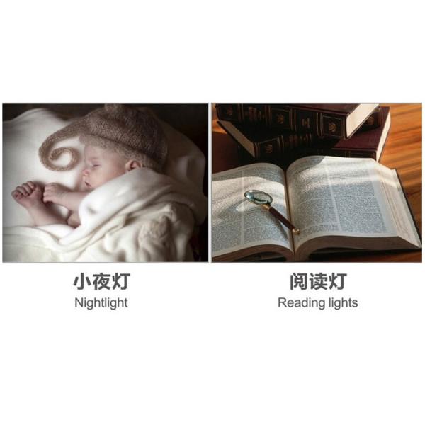 Blow Controlling Fasion LED Retro Lamps Of Outdoor Camping & Sport