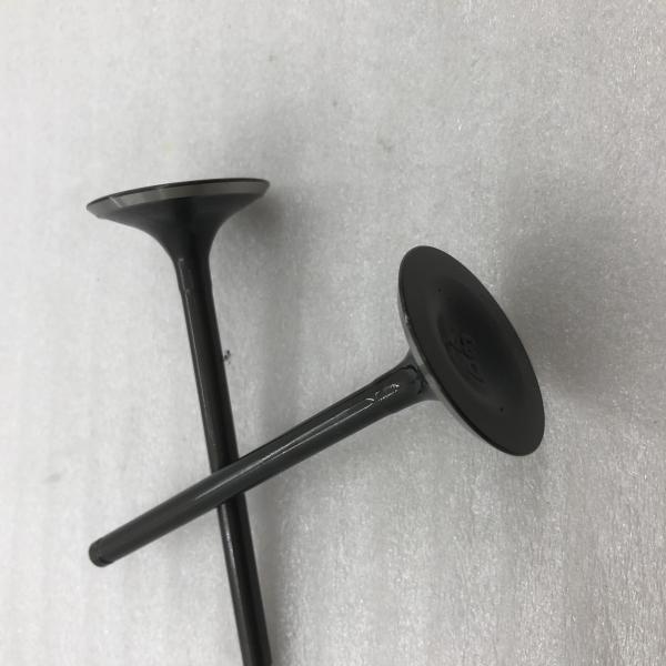 Valve d'échappement de moteur refroidie à l'huile pour moto à trois roues en acier DAYANG pour CB200-A