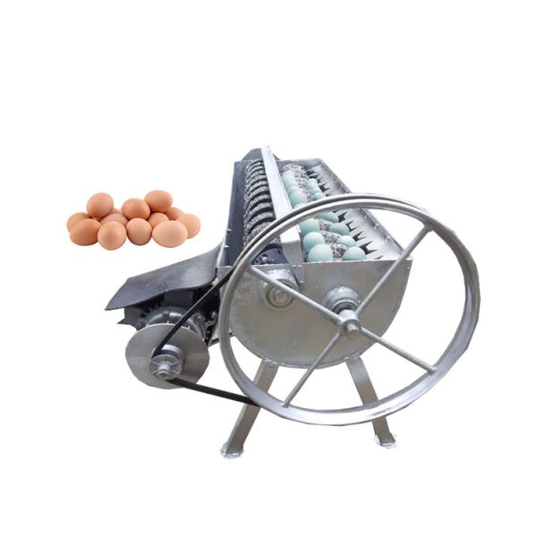Automatic Dirty Chicken Quail Duck Egg Wash Washer Cleaner and Grader Miracle Clean Dry USA Machine for Egg