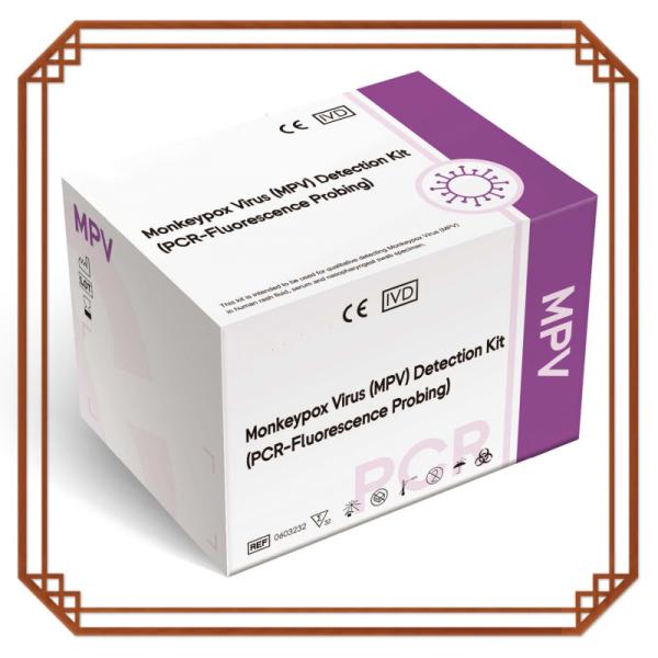 PCR Method Polymerase Chain Reaction Reagent Kit for MPXV Detection