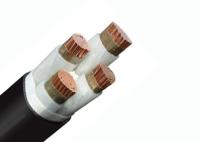 Los cables resistentes al fuego el conductor de cobre XLPE de 0.6/1 kilovoltios aislaron LSZH forrado