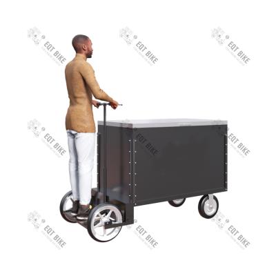 1000W 25° que escala a bicicleta da carga do triciclo de Front Load 300KG