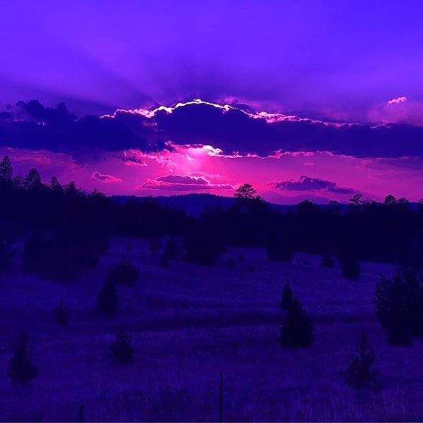 Покрашенные люди женщин фасонируют солнечные очки, вокруг стекел Солнца, старой солнечные очки поляризовыванные модой