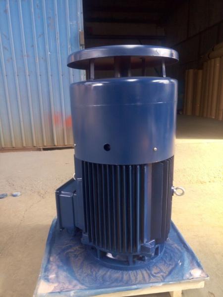 NEMA Vertical Hollow Shaft Motor IP54 380V 660V 3 Phase 50HZ 1450rpm 75kw VHS Motor
