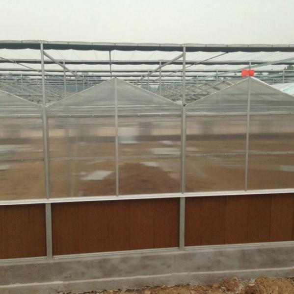 5x4 4x6 4x4 4x2  Polycarbonate Greenhouse Commercial With Tomato Growing System Large Hydroponic