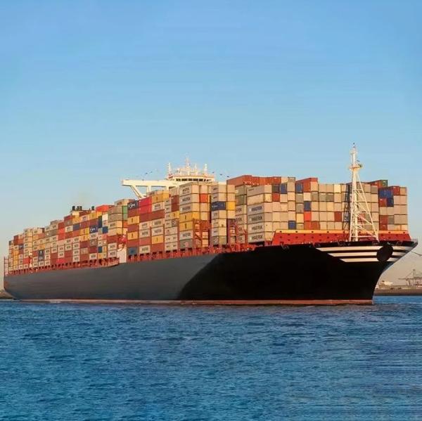 General Cargo China To Egypt International Ocean Freight Shipping 40ft Container sea shipping
