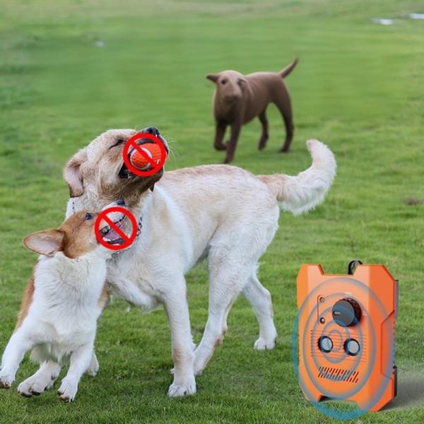 Contrôle vocal Collier de choc pour chien de formation