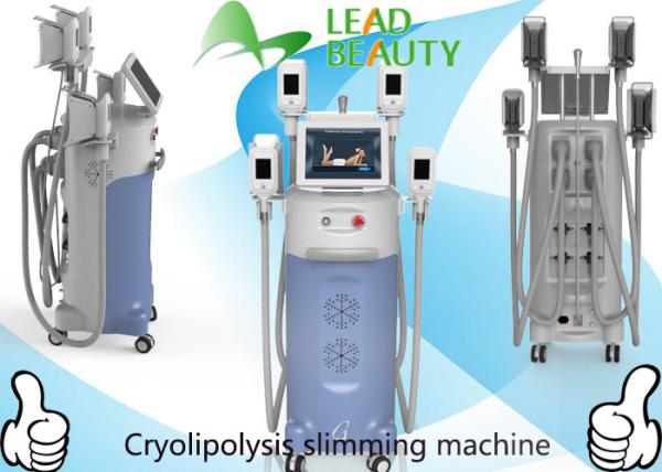 body slimming machine / Cool shape body fat removal Cryolipolysis machine fat