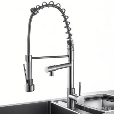 20 Inches Hose Length Kitchen Faucet with Stainless Steel Material and Long-Lasting Gravity Casting Technology