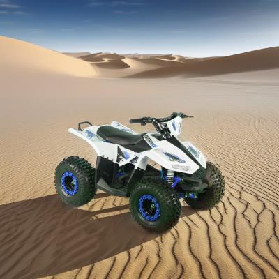 1250x760x800MM ATV Elétrico 1000w/1200w/1500w Quad Bike 1000w/1200w/1500w Elétrico
