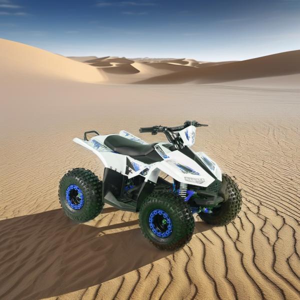 1250x760x800MM ATV Elétrico 1000w/1200w/1500w Quad Bike 1000w/1200w/1500w Elétrico