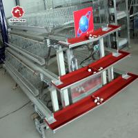 Un type 3 cage de poulet de couche de batterie de rangées avec la machine de alimentation