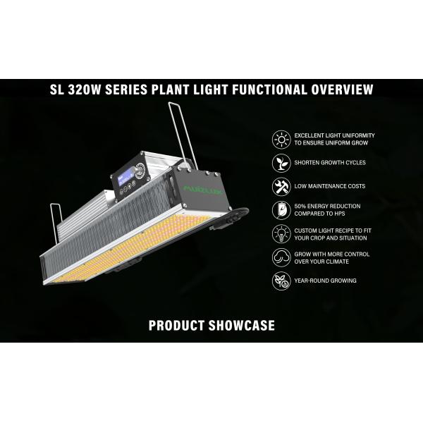 OEM 320w LED Toplighting Lumière de croissance toute l'année plantes médicales lumières de croissance