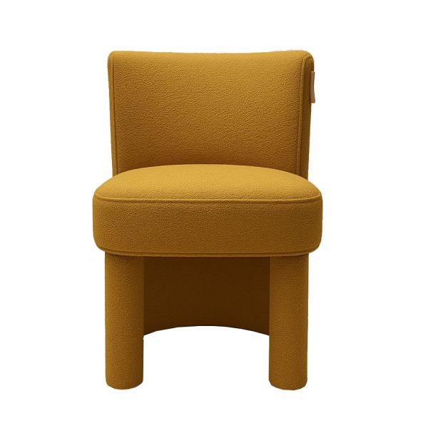 Chaises de salle à manger rembourrées en bois courbé doux, chaises rembourrées de style milieu du siècle, résistantes à la poussière