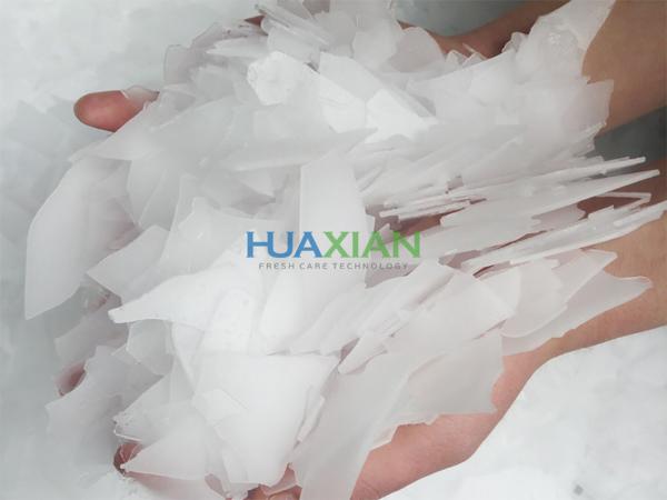 China Industrial Ice Maker Machine Price, Flake Ice Making Seafood Processing Machine