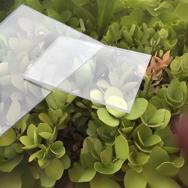 Clear Plastic Polycarbonate Sheet