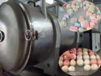 500 kg Secador de congelación de alimentos industriales Liofilante a gran escala para la transformación de alimentos